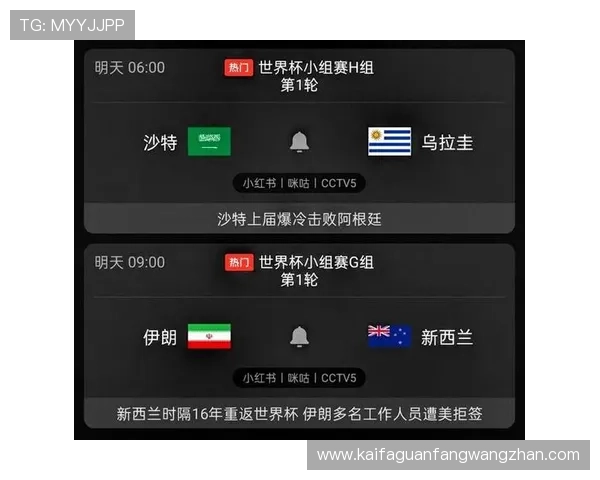 世界杯小组赛埃及对阵伊朗比赛战术分析与双方球队表现评估